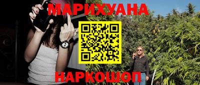 сатива Балаково