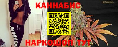 сатива Балаково