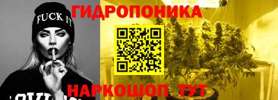 прущие грибы Балашиха