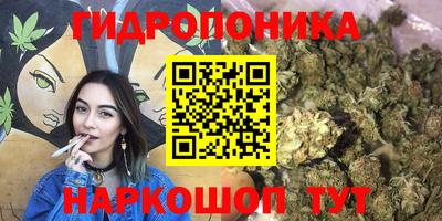 прущие грибы Балашиха