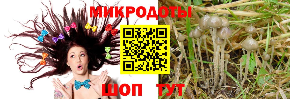 где продают   Галлюциногенные грибы мухоморы  Вход с VPN  Джанкой 